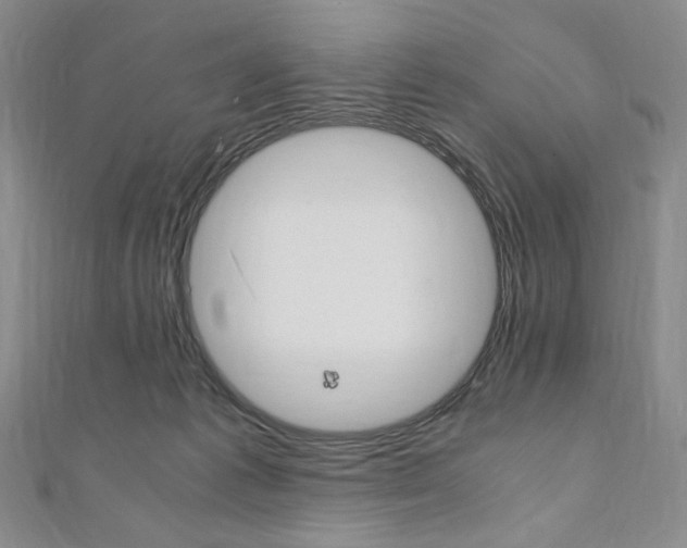 X0000110890221200906181013