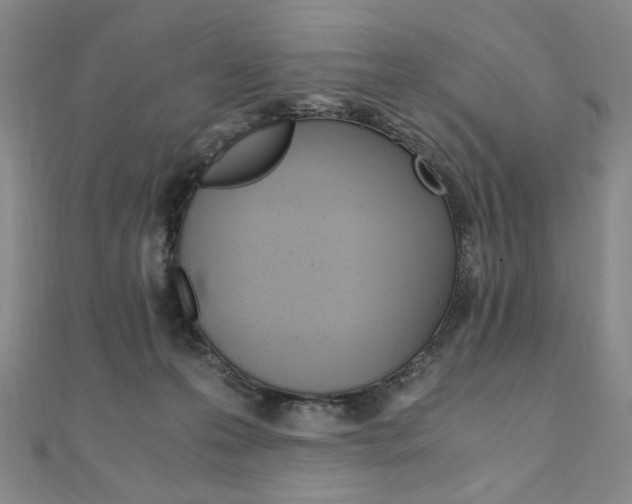 X0000110890223200906181013