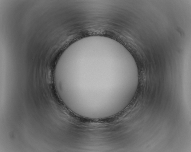 X0000110890224200906181013