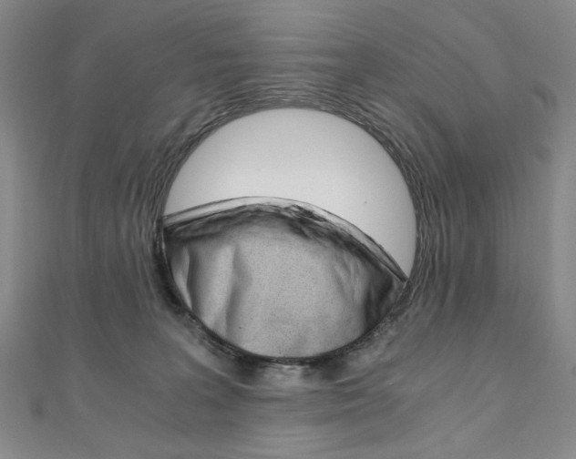 X0000110890227200906181013