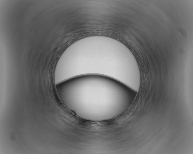 X0000110890229200906181013