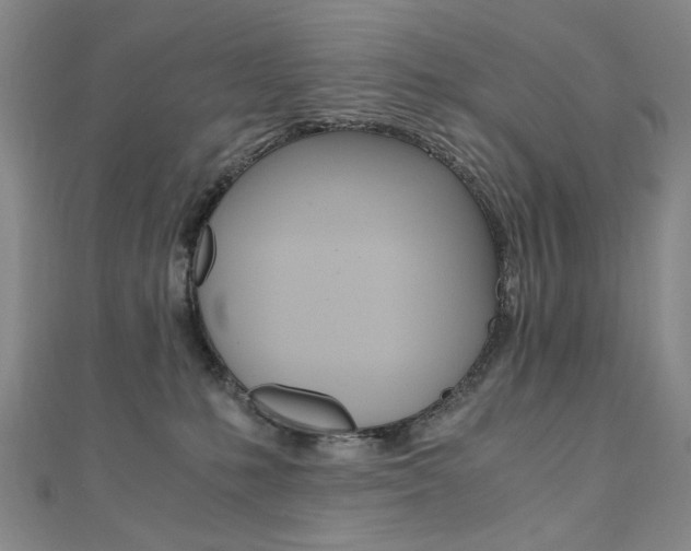 X0000110890231200906181013