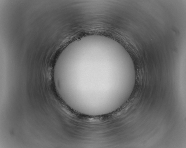 X0000110890232200906181013