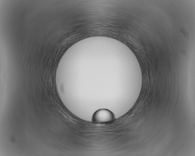 X0000110890233200906181013