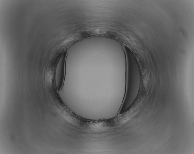 X0000110890235200906181013