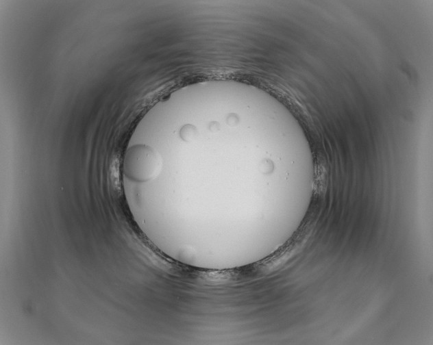 X0000110890238200906181012