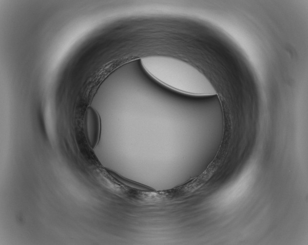 X0000110890239200906181012