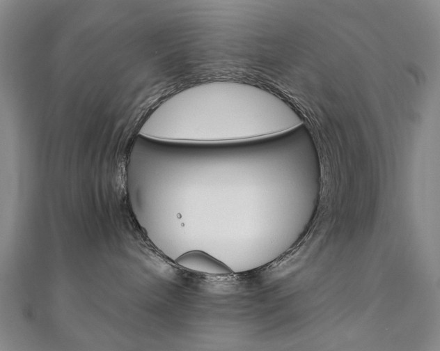 X0000110890240200906181012