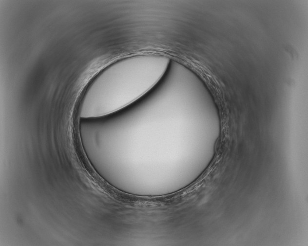 X0000110890242200906181012