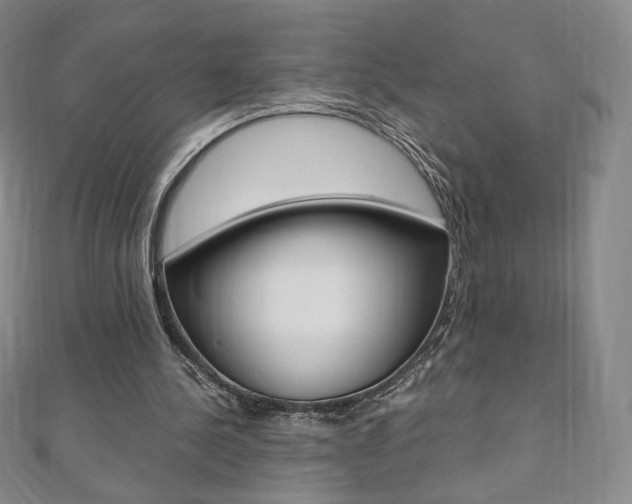 X0000110890244200906181012