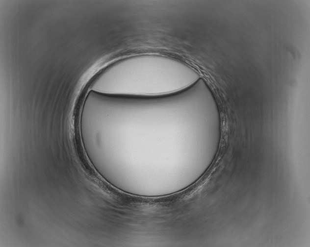 X0000110890246200906181012