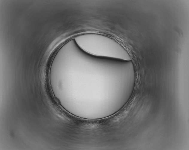 X0000110890247200906181012