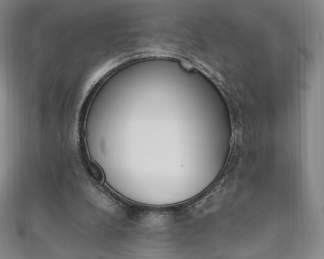 X0000110890248200906181012
