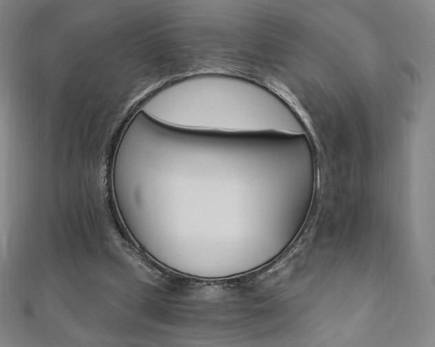 X0000110890249200906181012