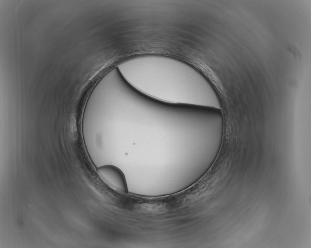 X0000110890251200906181012