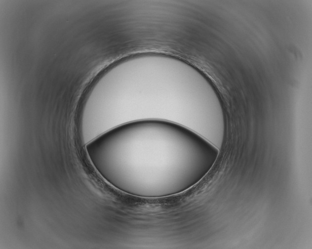 X0000110890252200906181012
