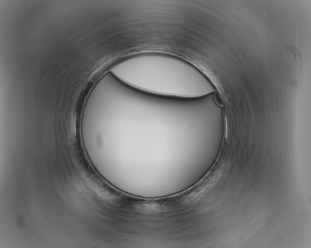 X0000110890253200906181012