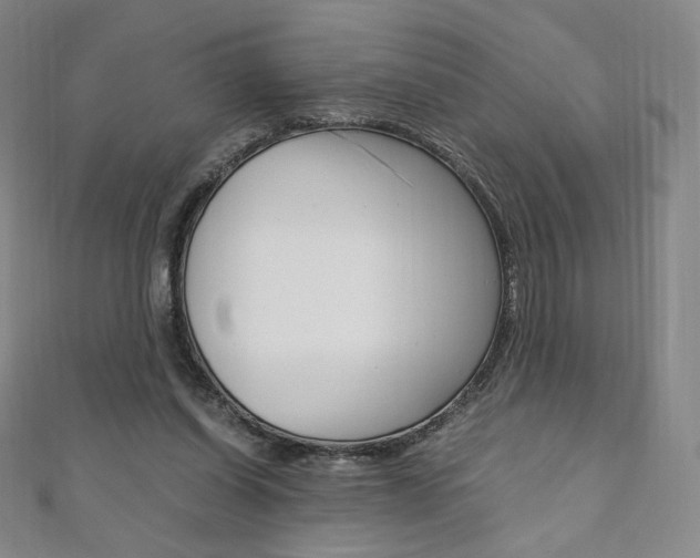 X0000110890254200906181012