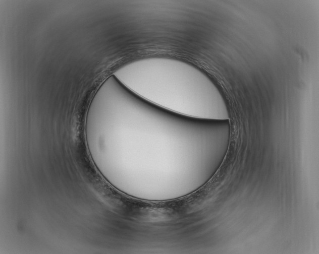 X0000110890255200906181012