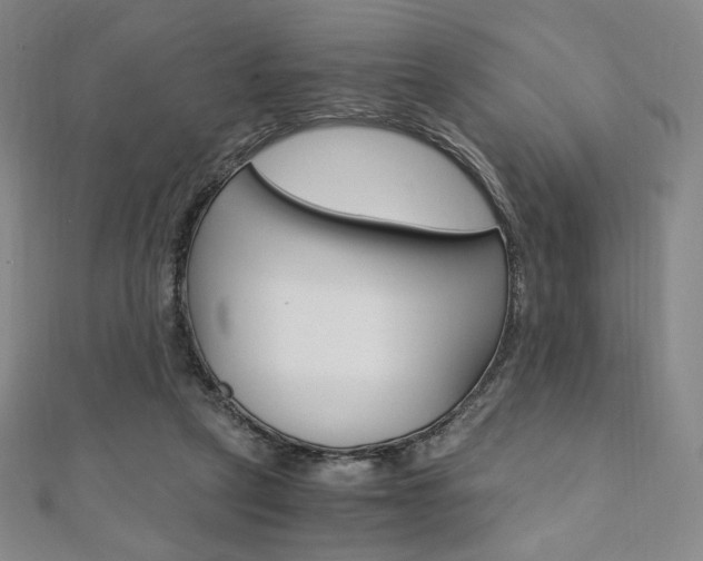 X0000110890257200906181012