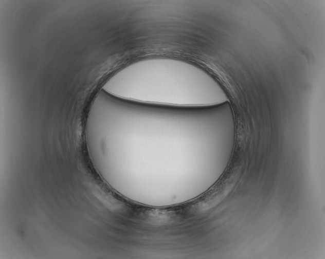 X0000110890261200906181012