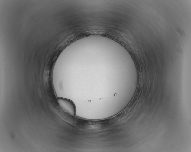 X0000110890263200906181012