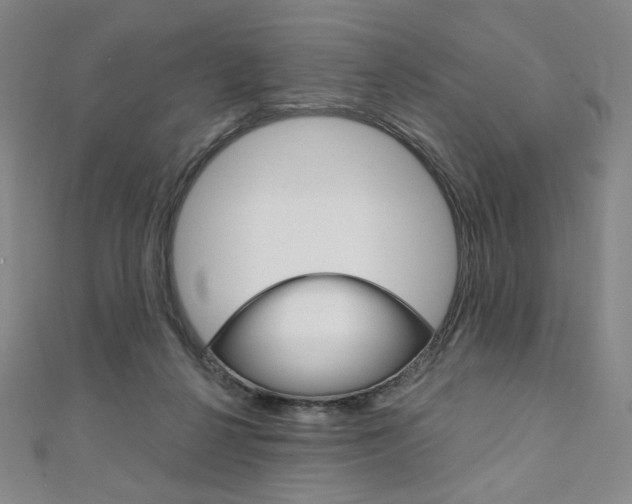 X0000110890264200906181012