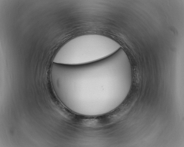 X0000110890266200906181012