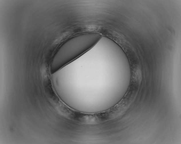 X0000110890272200906181012