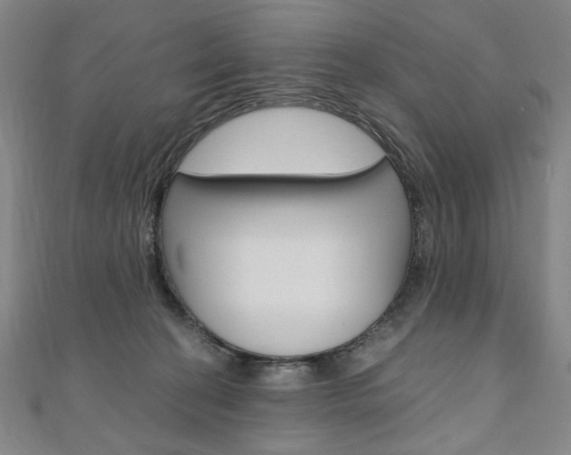 X0000110890274200906181012