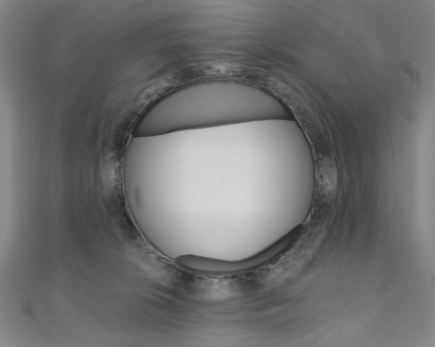 X0000110890276200906181012
