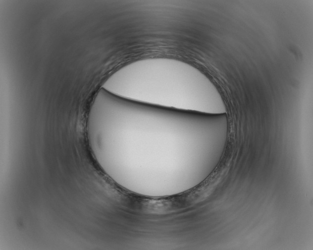 X0000110890277200906181012
