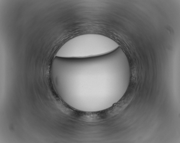 X0000110890278200906181012