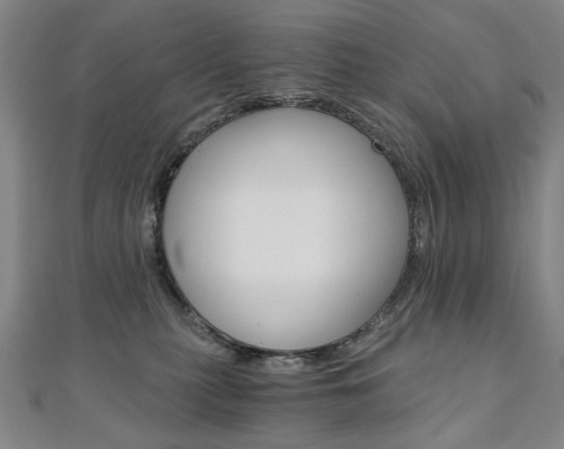 X0000110890279200906181012