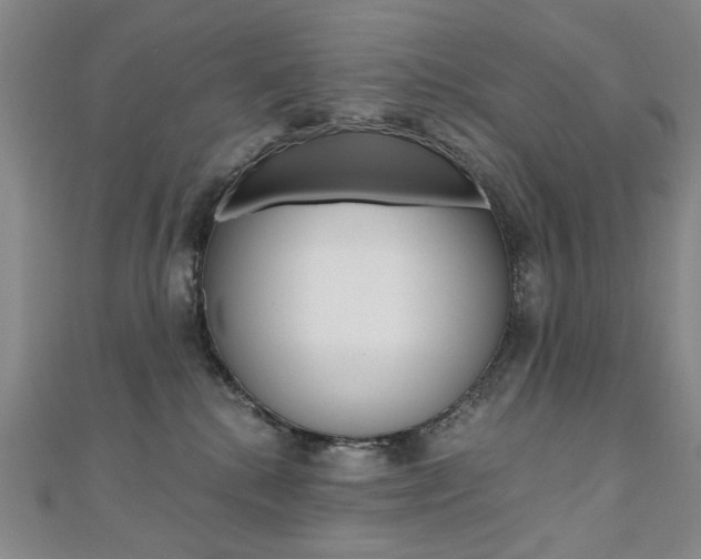 X0000110890280200906181012