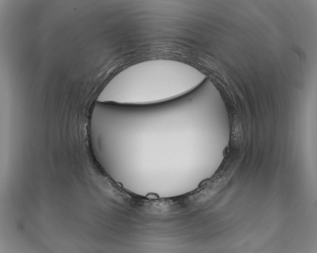 X0000110890282200906181012