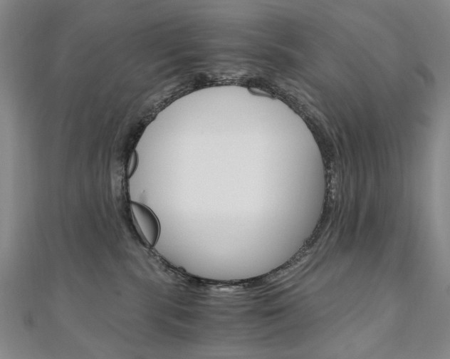 X0000110890283200906181012
