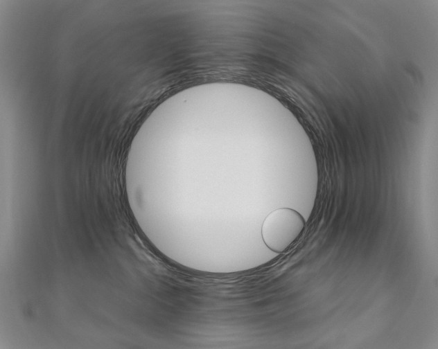 X0000110890284200906181012