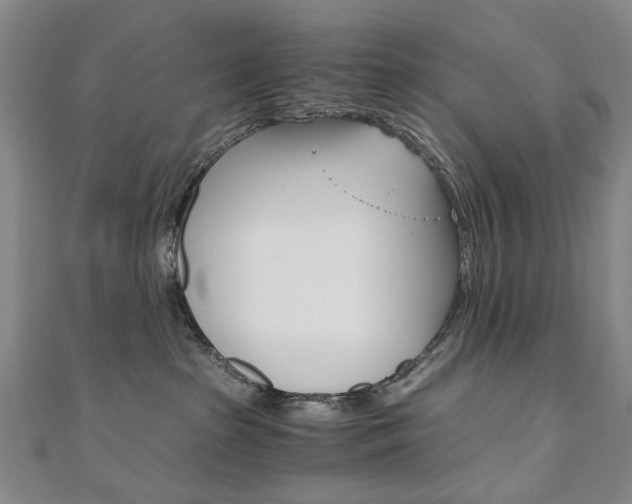 X0000110890285200906181012