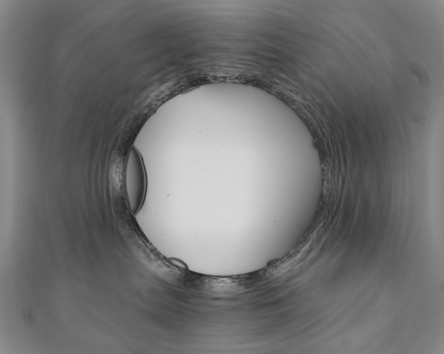 X0000110890287200906181012