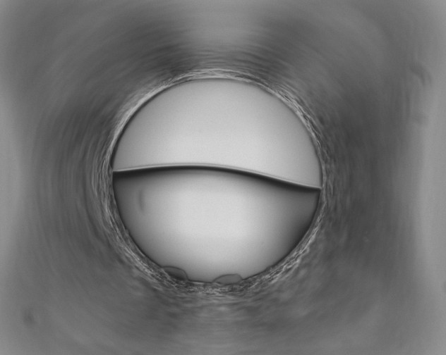 X0000110890289200906181012