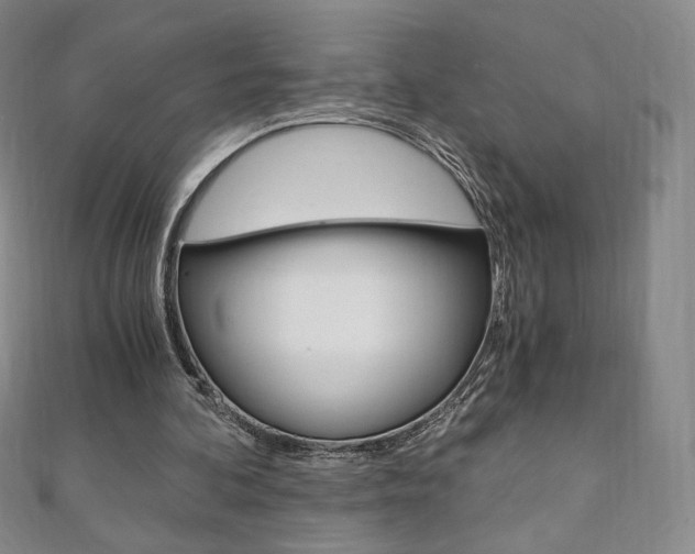 X0000110890292200906181012