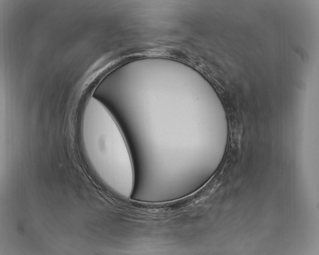 X0000110890295200906181012