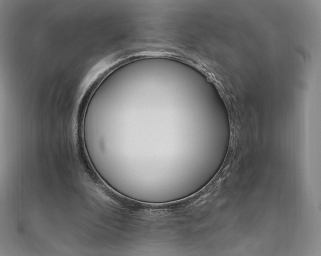 X0000110890296200906181012