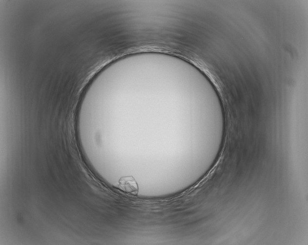 X0000110890297200906181012