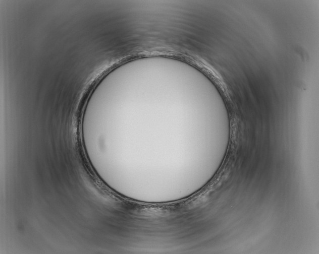 X0000110890298200906181012