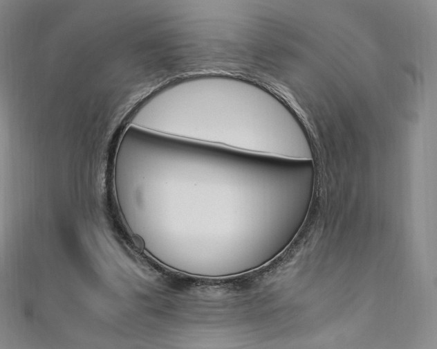X0000110890299200906181012