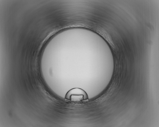 X0000110890300200906181012