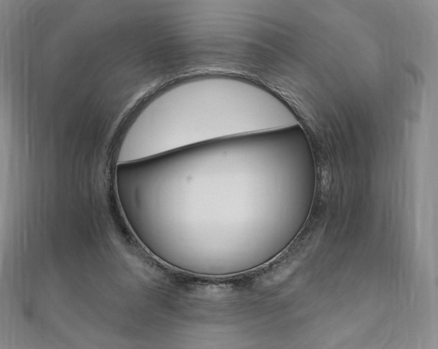 X0000110890304200906181012