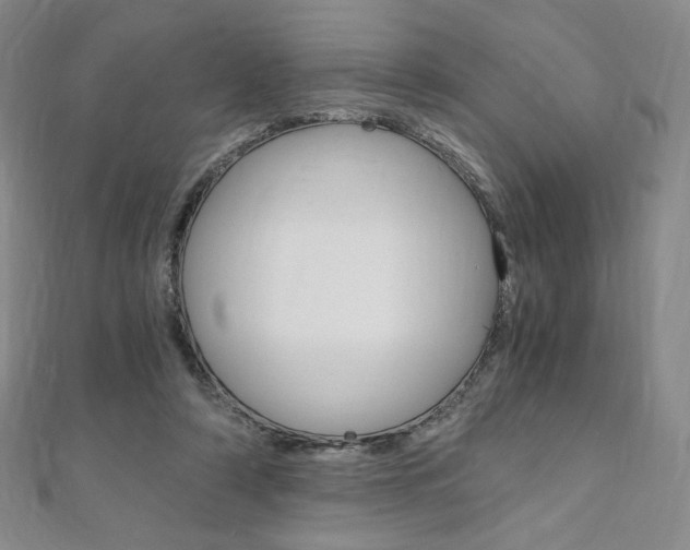 X0000110890306200906181012